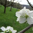 Hatt Gartenbau Gartenpflege 1