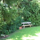 Hatt Gartenbau Strauchschnitt